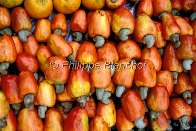 bresil bahia 13.JPG - Pommes et noix de CajouNordesteBahiaBrésil